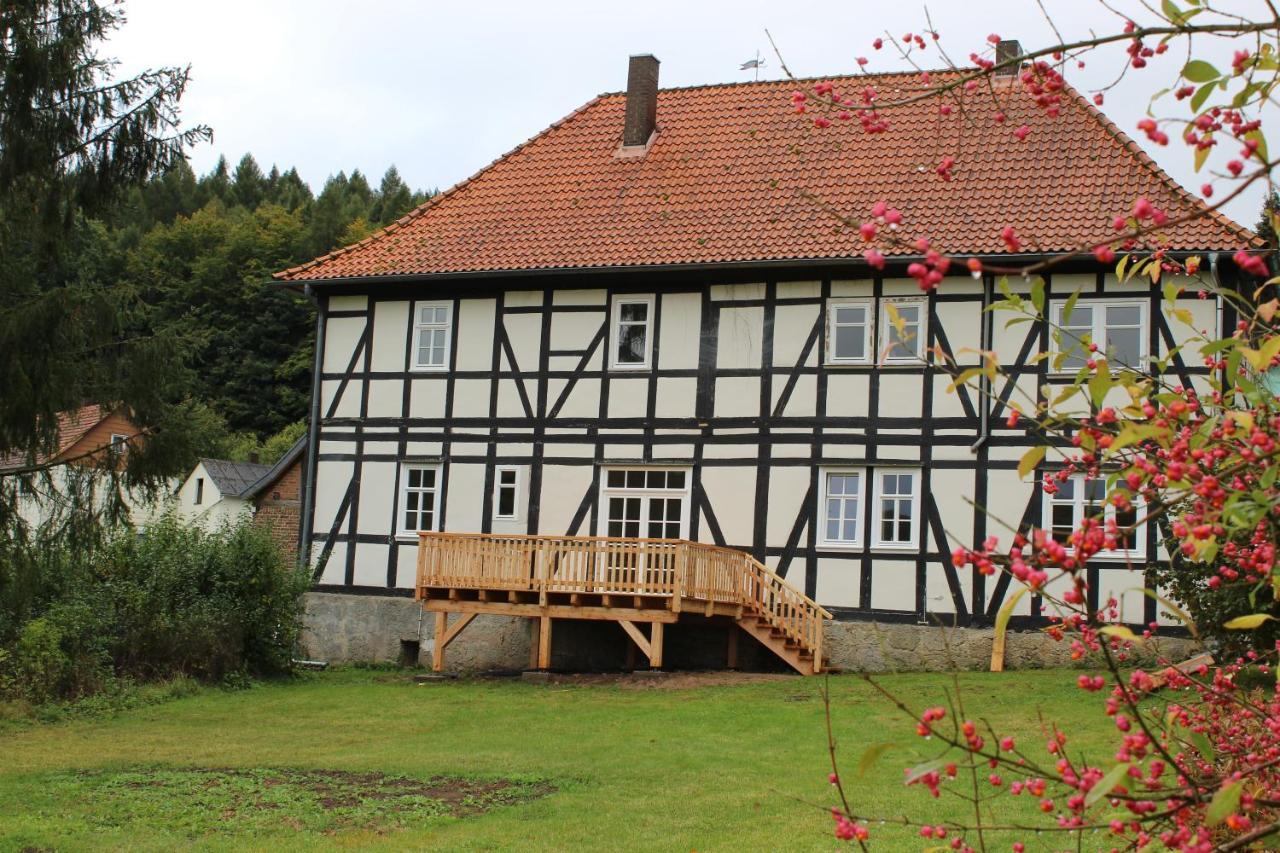 Forsthaus In Waldhessen * Bauhaus