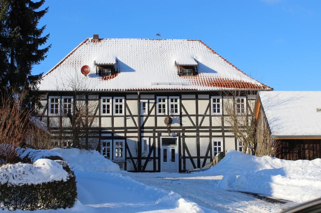 Forsthaus In Waldhessen