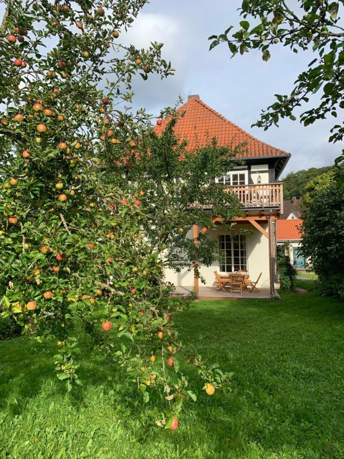 Forsthaus In Waldhessen Bauhaus